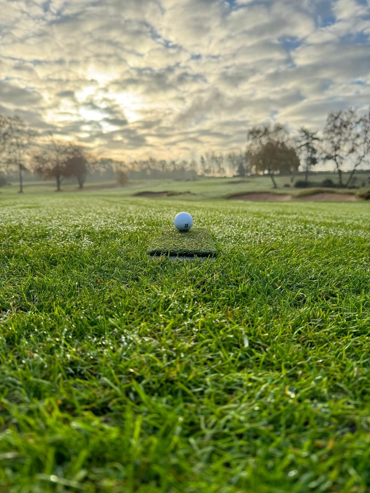 Spurk Short Pile Grass Winter Golf Mat