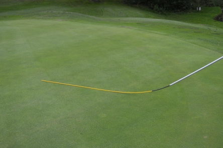 Deluxe BIG Switch (complete with deluxe switch cane) -Active Golf Projects