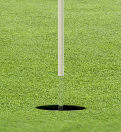 The Transparent T-Flagstick - Pack of 9