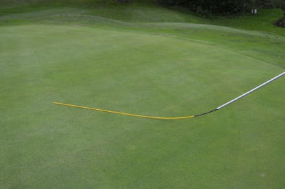 Deluxe BIG Switch (complete with deluxe switch cane) -Active Golf Projects